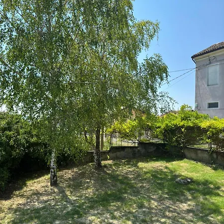 Viotti * Castel Rocchero