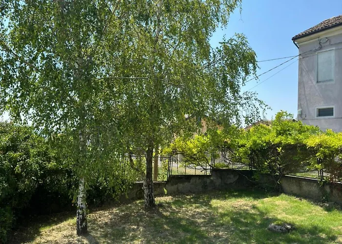Viotti * Castel Rocchero