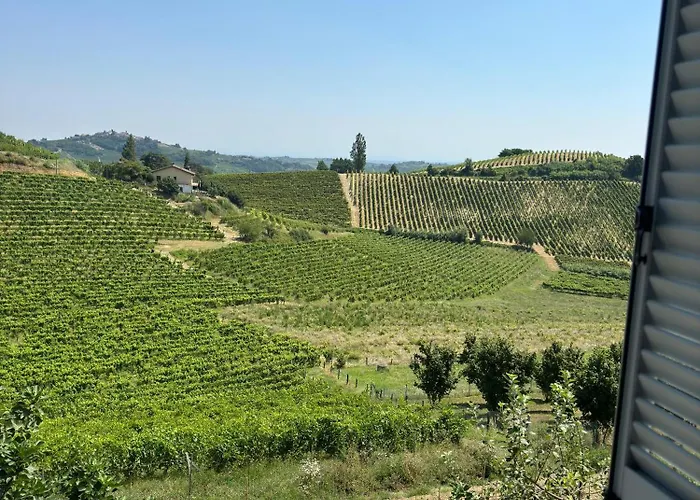 Viotti * Castel Rocchero